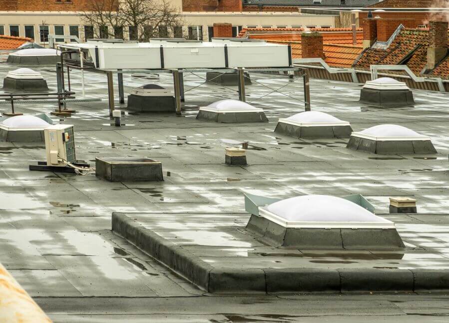 Skylights on a department store